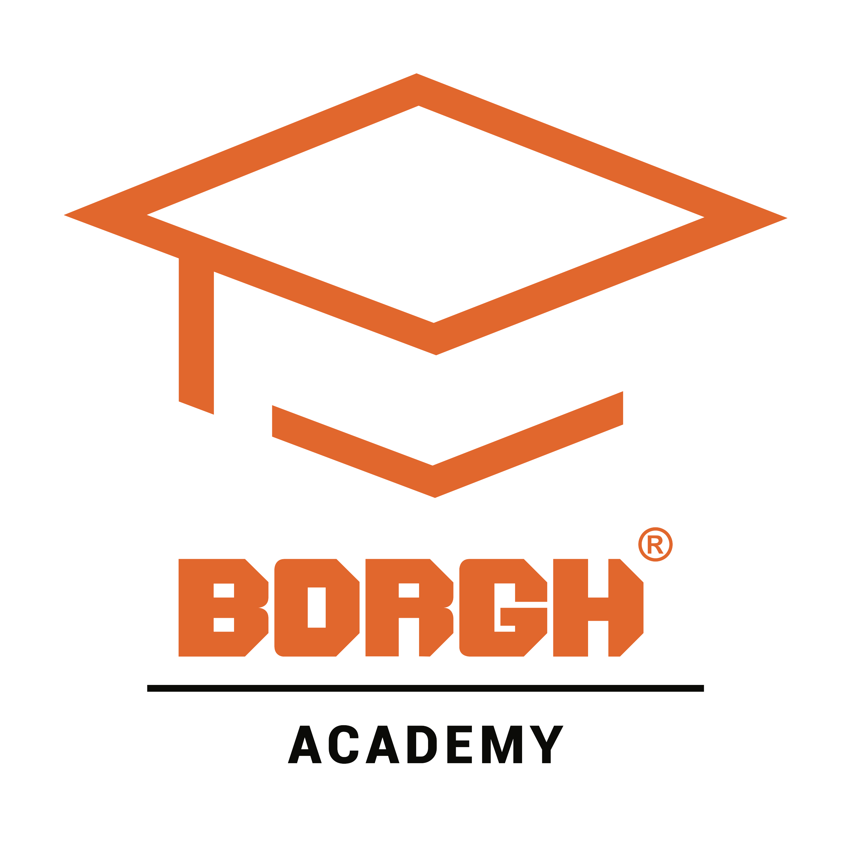 Borgh Academy